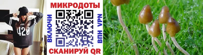 Галлюциногенные грибы мухоморы  купить наркотик  Беломорск 